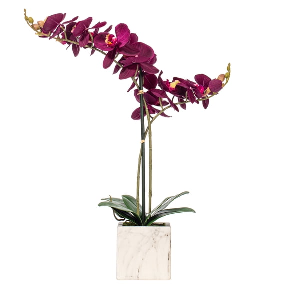 Vickerman 22" Artificial Potted Real Touch Dark Purple Phalaenopsis Spray.
