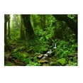 thumbnail image 2 of BELOVING Aquarium Background 3D Background Poster Tank Wall Decorations 61x41cm, 2 of 10