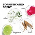 thumbnail image 3 of Acondicionador L'Oreal Paris EverPure Moisture 250 ml sin sulfatos, 3 of 4