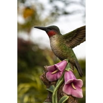 Hi-Line Gift Motion-Activated Singing Hummingbird on Foxglove, Polyresin - Multicolour