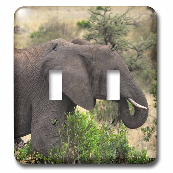3dRose, African elephant Masai Mara National Park Kenya Africa, double toggle switch