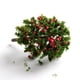 thumbnail image 3 of 10 Piezas árboles Frutales Tren Ferrocarril Paisaje Planta Bonsai DIY Accesorios árbol, 3 of 9