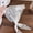 4, variant on Elegant Lace Floral Hair Scarf Women Triangle Headscarf Korean Lace Up Neck Scarf Lace Flower Sunscreen Travel Photo Headband
