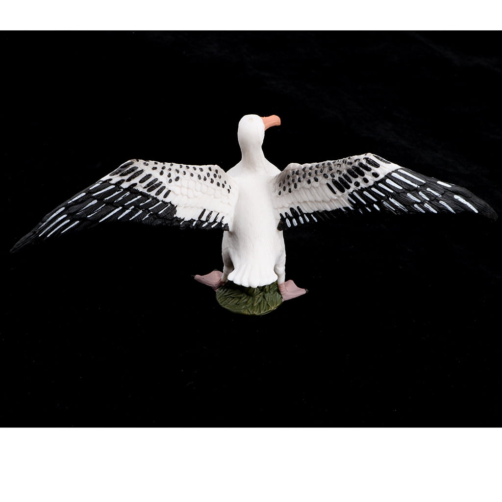 Details about   Realistic Flying Seagull Bird Animals Pet Figure Toys Wild Forest Farm Ocean 