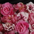 thumbnail image 2 of Panel de flores, hortensia rosa, pilar de flores para pared, decoración para el hogar Gradiente Rosa Roja, 2 of 8