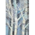 thumbnail image 2 of Hristova, Albena 13x18 Black Ornate Wood Framed with Double Matting Museum Art Print Titled - Winter Birches I, 2 of 4