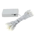 thumbnail image 1 of Novelty Lights Battery Operated LED Mini Lights 8 Feet, 20 Count Warm White Fairy Lights on White Wire, On/Off & Flashing Modes, Indoor/Outdoor Use, 3x AA Required, 1 of 6