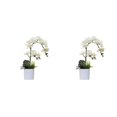thumbnail image 1 of Flores artificiales Monstrate BF1912001 (525g), 1 of 6