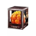 thumbnail image 1 of Bandai Trading Card Games One Piece Devil Fruits Collection Volume 2, 1 of 2