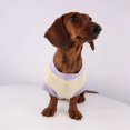 thumbnail image 5 of HQREA Dachshund Dog Clothes Anti-UV Cooling Vest Tank Top with Pocket Stretchy Sleeveless Summer T-Shirt for Mini Dachshund, 5 of 6