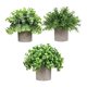 thumbnail image 1 of 3 piezas de pequeñas plantas falsas, plantas artificiales en maceta, plantas decorativas de imitación en maceta para estante de oficina, decoración de Estilo I, 1 of 8