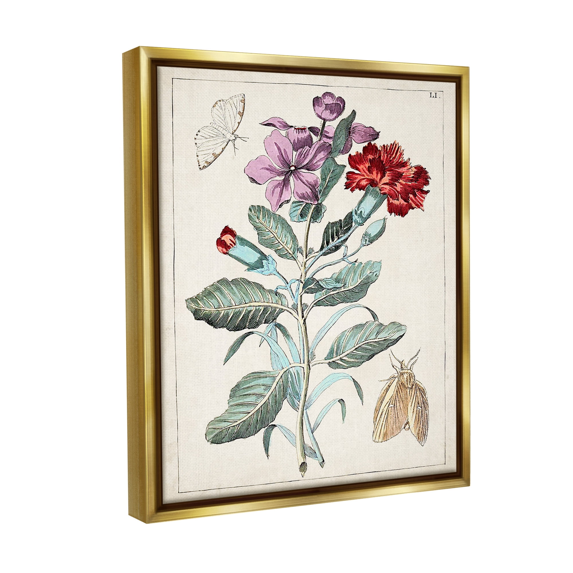 Stupell Industries Vintage Moths with Flowers Botanical & Floral Painting Gold Floater Framed Canvas Art Print Wall Art, 25 x 31