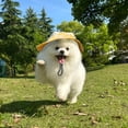 thumbnail image 4 of Minzimin Pet Hat with Ear Holes Sunscreen Cap, Adjustable String Dog Cat Summer Sun Hat,Cat Dog Bucket Hat for Birthday Party Costume Decoration Outdoor Hiking, 4 of 7