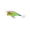 D, variant on Topwater Popper Fishing Tackle Surface Splash Action Hard Fishing Plug for Bass Perch and Saltwater Species 2.6 Inches 0.35 oz