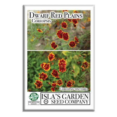 Dwarf Red Coreopsis Plains Flower Seeds,1500 Heirloom Flower Seeds Per Packet, Non GMO Seeds