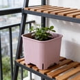 thumbnail image 4 of Succulents Planter, Colorful Square Porous Breathable Mini Gardening Pot, 1-Pack, 4 of 6