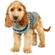 thumbnail image 1 of Xihbxyly Suéter para Perro, Suave Franela, Cómodo y Cálido, Elegante Diseño Navideño, Fácil de Limpiar, Perfecto para Mascotas Pequeñas, Tallas Xs-Xl., 1 of 3