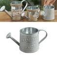 thumbnail image 1 of unbranded Maceta Decorativa De Estilo Vintage En Jarra Metálica De Hierro Color Plata Para Hogar, 1 of 5