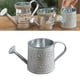 thumbnail image 1 of unbranded Maceta Decorativa De Estilo Vintage En Jarra Metálica De Hierro Color Plata Para Hogar, 1 of 5
