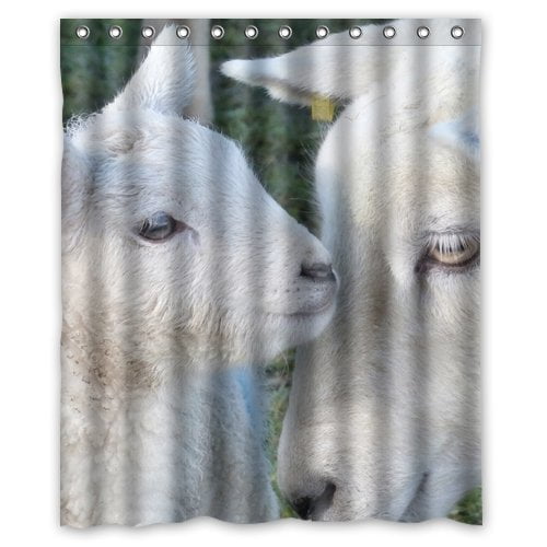 HelloDecor Sheep Lamb Shower Curtain Polyester Fabric Bathroom