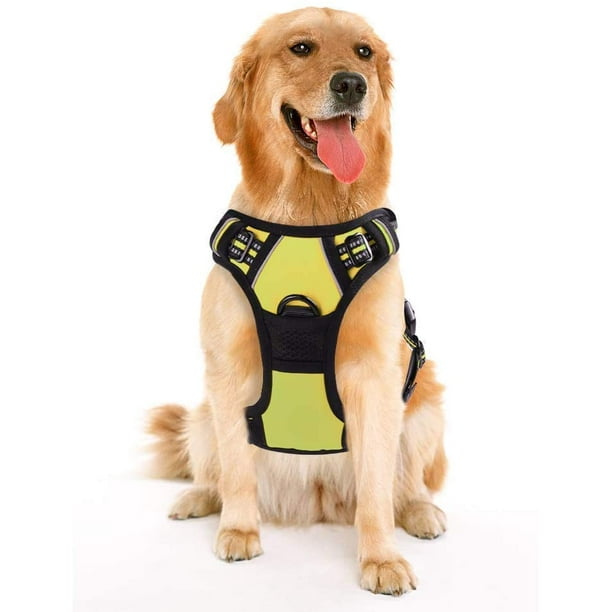 Rabbitgoo Dog Harness No Pull Adjustable Safe Comfort Pet Vest Easy Control For Small Medium Large Dogs Green Walmart Com Walmart Com