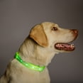 thumbnail image 6 of Blazin' Safety Rechargeable Light Up LED Dog Collar (Large, Green), 6 of 6