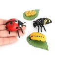 thumbnail image 2 of MesaSe Simulation Insect Plastic Animal Early Growth Preschool Model Miniature Educational Props Cognition Toy for Children, 2 of 9