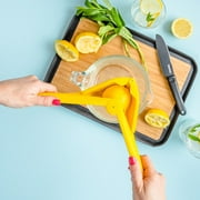 Dreamfarm Fluicer Fold Flat Easy Juicer | 10 Lemon