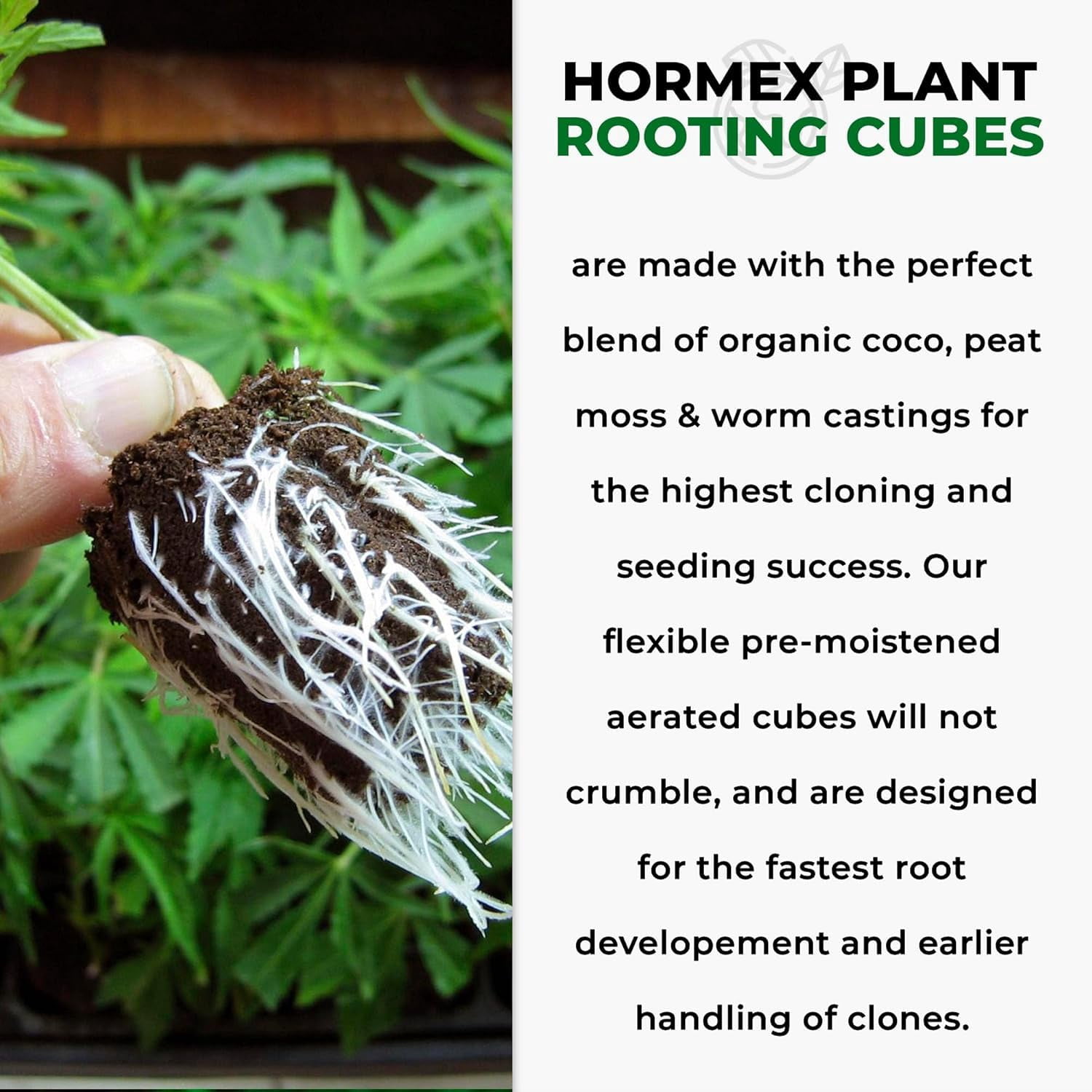 Rooting Powder #3 & Cubes for Cultivation Combo – Hydroponic Roots Growth & Propagation Kit