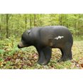 thumbnail image 2 of Shooter 3D Archery Weather Resistant High Impact Foam Bear Target with Stakes, 2 of 5