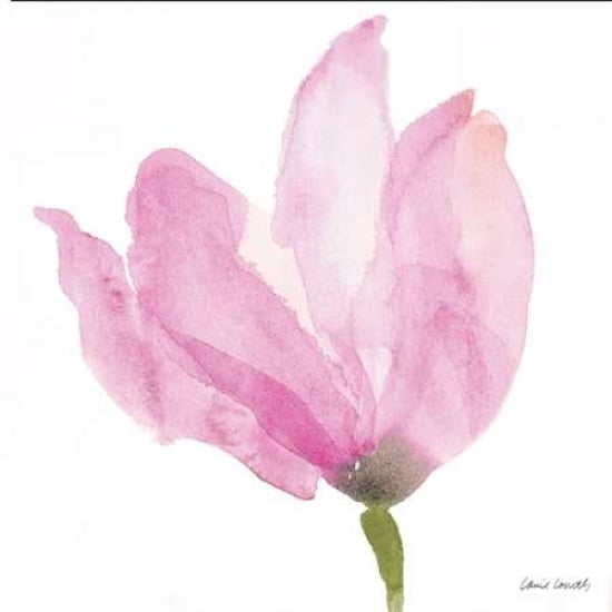 Floral Sway Pink II Canvas Art - Lanie Loreth(24X24)