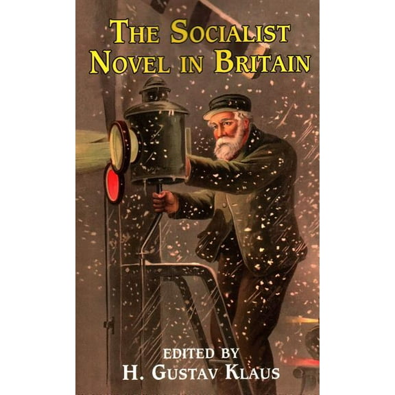 The Socialist Novel in Britain (Paperback)