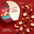 thumbnail image 4 of Sargento® Balanced Breaks® Sharp White Cheddar Cheese, Roasted Cashews, Raisins, 4 of 8