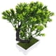 thumbnail image 4 of Plantas verdes simuladas en macetas falsas bonsai decoración de la planta falsa decoración del hogar HOMEMAXS 14057147-MX, 4 of 6