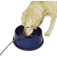 thumbnail image 1 of K&H Thermal-Bowl Outdoor Use For Dogs Blue, 1 of 7