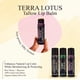 thumbnail image 5 of Bálsamo labial Terra Lotus Organic Sebo Hidratante con aceite de oliva, paquete de 5, 5 of 5