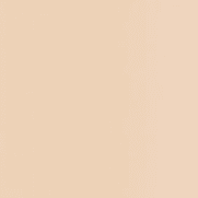 N1 Neutral Light