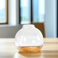 thumbnail image 1 of OULII 1 Set Hydroponic Plant Propagation with Wood Base for Reception Decor, 1 of 8
