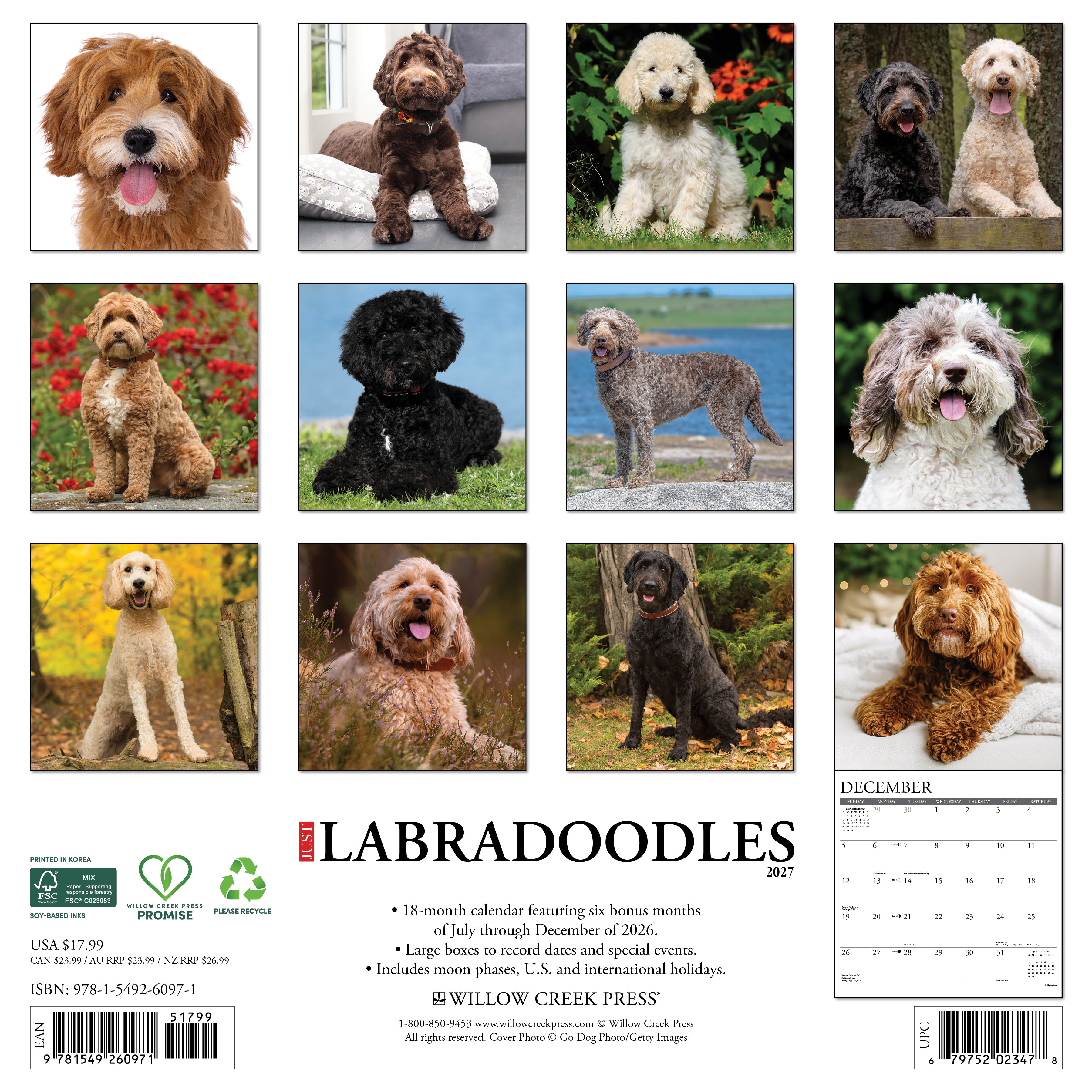 Willow Creek Press, Labradoodles 2027 Wall Calendar
