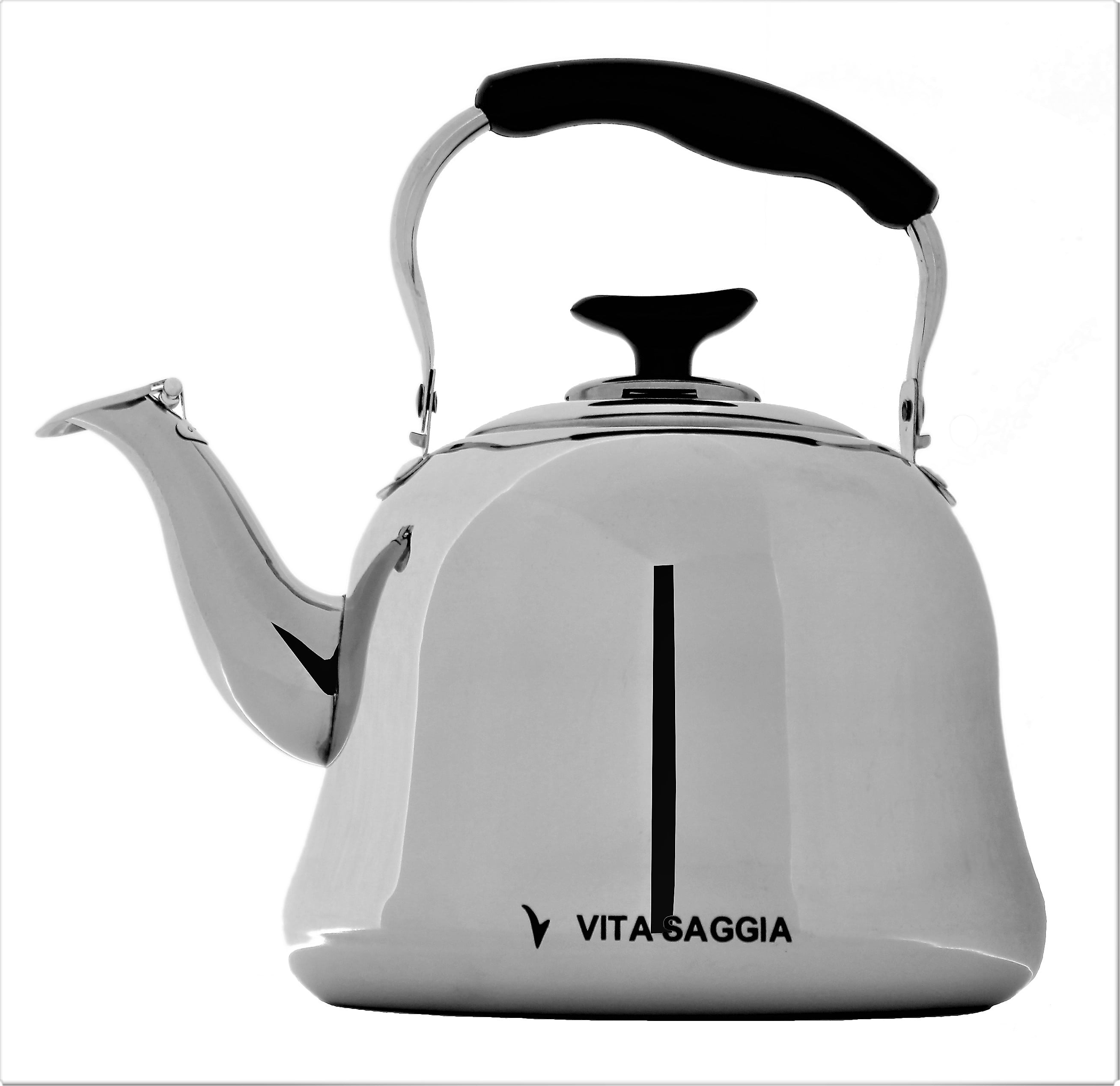 Stainless Steel Tea Kettle by Vita Saggia, Mirror Finish Teapot, 2