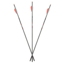 Axe Crossbows 19" Bolts - 6-Pack