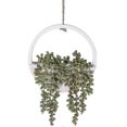 thumbnail image 1 of 1pc Artificial Succulent Hanging Plants 12.2 inch Fake Pearl Necklace in Pot with 8.3 inch Lanyard for Indoor Outdoor Wall Decor., 1 of 3