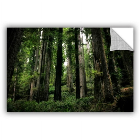 ArtWall Kevin Calkins "Among the Giants" Art Appeals Removable Wall Art
