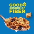 thumbnail image 3 of Kellogg's Raisin Bran Crunch Breakfast Cereal, Good Source of Fiber, Family Size, 3 of 5
