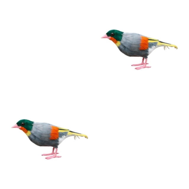 Toystoory Animated Feathered Bird Leiothrix Figurines Animal for Zoo Decor Garden Tipo B 2piezas