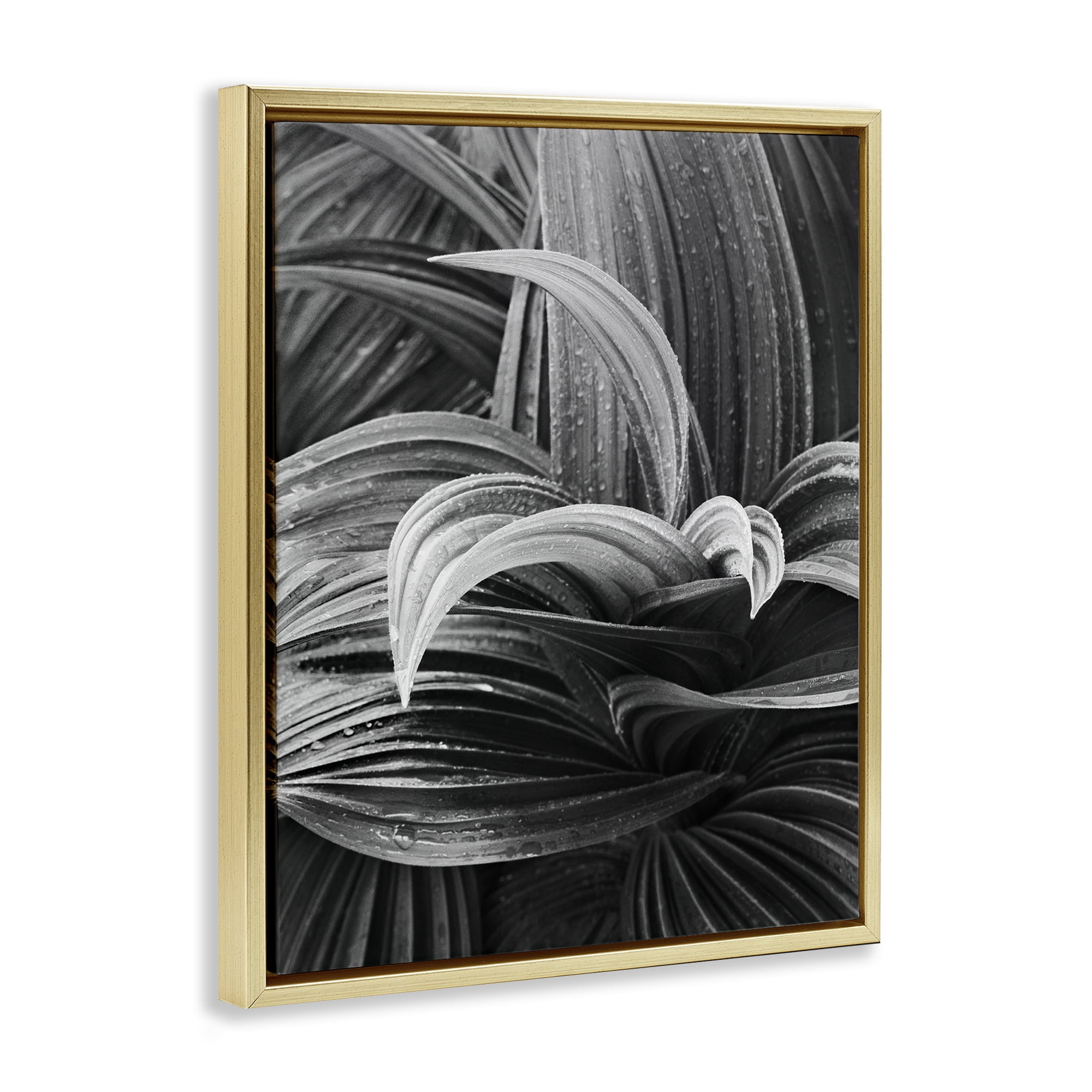 Stupell Industries Wet Leaves Detail Botanical & Floral Photography Gold Floater Framed Art Print Wall Art, 17 x 21