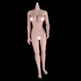thumbnail image 4 of Cuerpo femenino súper flexible Yotijar 1/6 con Ropa y Pies de manos 27 cm, 4 of 10