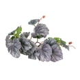 thumbnail image 1 of Reptile Plants Decorations, Reptile Artificial Plastic Plants Safe With Suction Cups For Reptile Tank For Rainforest Tank, 1 of 8