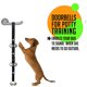 thumbnail image 4 of Xelparuc Pack 4 Cachorros Xemadio WHFLD190, 4 of 8