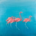 thumbnail image 3 of Atelier B Art Studio 15x15 Black Modern Framed Museum Art Print Titled - Four Flamingos, 3 of 5